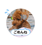 こったくんすたんぷ（個別スタンプ：7）