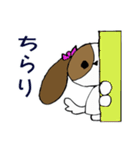 りぼんちゃんの暮らし（個別スタンプ：24）