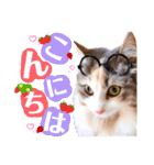 ルナ**（個別スタンプ：3）