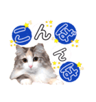 ルナ**（個別スタンプ：4）