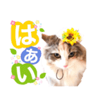 ルナ**（個別スタンプ：6）