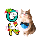 ルナ**（個別スタンプ：8）
