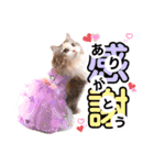 ルナ**（個別スタンプ：9）