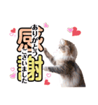 ルナ**（個別スタンプ：11）