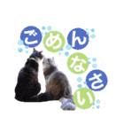 ルナ**（個別スタンプ：14）