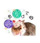 ルナ**（個別スタンプ：15）