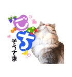ルナ**（個別スタンプ：16）