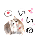 ルナ**（個別スタンプ：19）