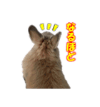 仕事で使える子ウサギ（Tony ＆ Peter）（個別スタンプ：3）