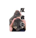 仕事で使える子ウサギ（Tony ＆ Peter）（個別スタンプ：4）