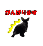 仕事で使える子ウサギ（Tony ＆ Peter）（個別スタンプ：6）