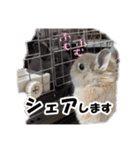 仕事で使える子ウサギ（Tony ＆ Peter）（個別スタンプ：10）