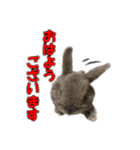 仕事で使える子ウサギ（Tony ＆ Peter）（個別スタンプ：15）