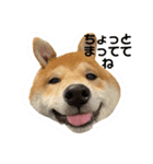 もなかくん(0.5歳)（個別スタンプ：5）