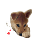もなかくん(0.5歳)（個別スタンプ：6）
