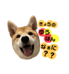 もなかくん(0.5歳)（個別スタンプ：7）