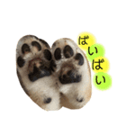もなかくん(0.5歳)（個別スタンプ：8）