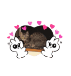 コボと愉快な仲間達♡（個別スタンプ：31）