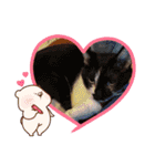 コボと愉快な仲間達♡（個別スタンプ：32）