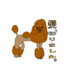 犬がいっぱいスタンプ！（個別スタンプ：9）