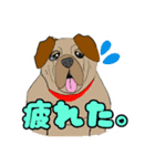 犬がいっぱいスタンプ！（個別スタンプ：13）