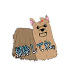 犬がいっぱいスタンプ！（個別スタンプ：14）