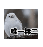 もっと自由にもっと自分らしく01（個別スタンプ：1）