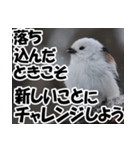 もっと自由にもっと自分らしく01（個別スタンプ：2）