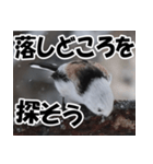 もっと自由にもっと自分らしく01（個別スタンプ：3）