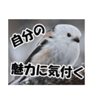 もっと自由にもっと自分らしく01（個別スタンプ：5）
