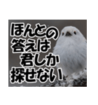 もっと自由にもっと自分らしく01（個別スタンプ：6）