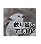 もっと自由にもっと自分らしく01（個別スタンプ：7）