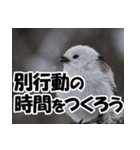 もっと自由にもっと自分らしく01（個別スタンプ：8）