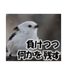 もっと自由にもっと自分らしく01（個別スタンプ：9）