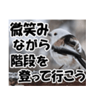 もっと自由にもっと自分らしく01（個別スタンプ：10）