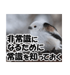 もっと自由にもっと自分らしく01（個別スタンプ：11）