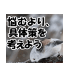 もっと自由にもっと自分らしく01（個別スタンプ：12）