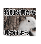 もっと自由にもっと自分らしく01（個別スタンプ：13）