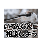 もっと自由にもっと自分らしく01（個別スタンプ：14）