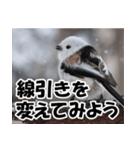 もっと自由にもっと自分らしく01（個別スタンプ：15）