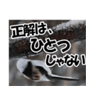 もっと自由にもっと自分らしく01（個別スタンプ：16）