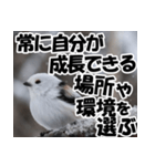 もっと自由にもっと自分らしく01（個別スタンプ：17）