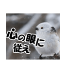 もっと自由にもっと自分らしく01（個別スタンプ：18）