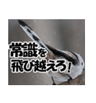 もっと自由にもっと自分らしく01（個別スタンプ：19）