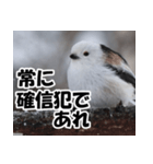 もっと自由にもっと自分らしく01（個別スタンプ：20）