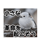 もっと自由にもっと自分らしく01（個別スタンプ：21）