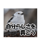 もっと自由にもっと自分らしく01（個別スタンプ：22）