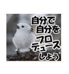 もっと自由にもっと自分らしく01（個別スタンプ：24）