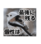 もっと自由にもっと自分らしく01（個別スタンプ：26）