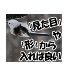 もっと自由にもっと自分らしく01（個別スタンプ：27）